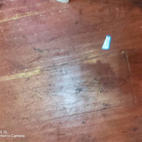 可持续材料运动装备